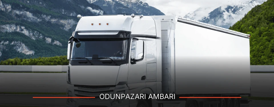 Odunpazarı Ambarı